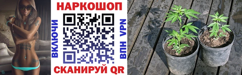 Виды наркоты Навашино МАРИХУАНА 