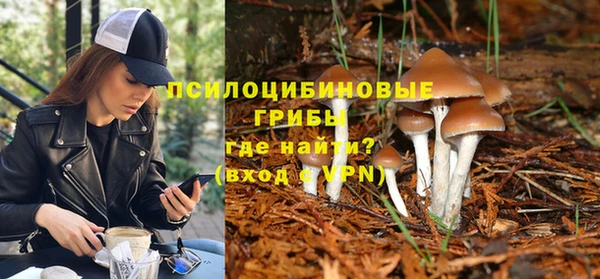 твердый Алексеевка