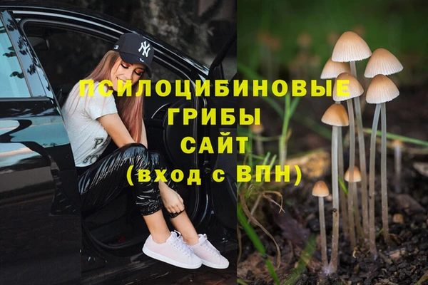 таблы Алзамай